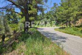 Agricultural 5758 sq.m for sale