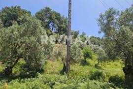 Agricultural 5758 sq.m for sale