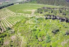Land Óbidos