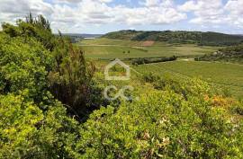 Land Óbidos