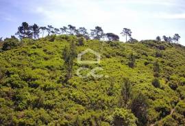 Land Óbidos