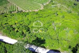 Land Óbidos