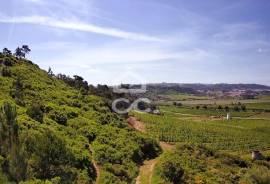 Land Óbidos