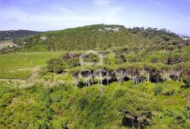 Land Óbidos