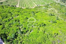 Land Óbidos