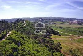 Land Óbidos