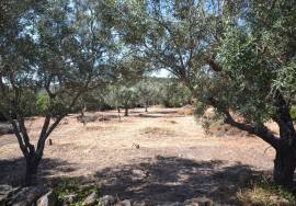 Land with Development Potential