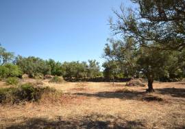 Land with Development Potential