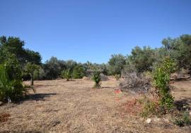Land with Development Potential