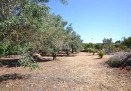 Land with Development Potential