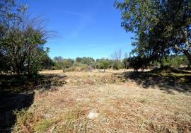 Land with Development Potential
