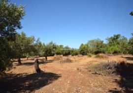 Land with Development Potential