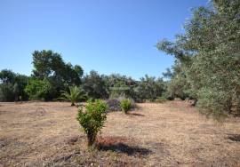 Land with Development Potential