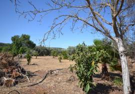 Land with Development Potential