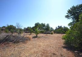 Land with Development Potential