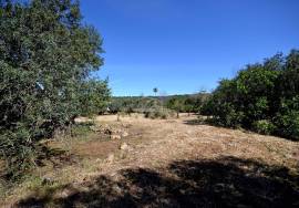 Land with Development Potential