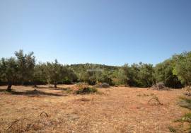 Land with Development Potential