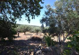 Land with Development Potential
