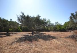 Land with Development Potential