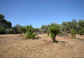 Land with Development Potential
