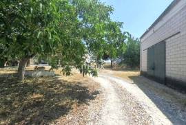 Property with 23 hectares in the IRRIGATED PERIMETER OF CAIA - Elvas - Alentejo - Portugal