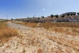 Property with 23 hectares in the IRRIGATED PERIMETER OF CAIA - Elvas - Alentejo - Portugal