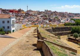Property with 23 hectares in the IRRIGATED PERIMETER OF CAIA - Elvas - Alentejo - Portugal