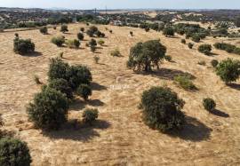 Unique Opportunity in the Heart of Alentejo - Hill with Ruin Near the River Beach of Azenhas d'El Rei