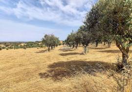 Unique Opportunity in the Heart of Alentejo - Hill with Ruin Near the River Beach of Azenhas d'El Rei