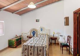 Unique Opportunity in the Picturesque Village of Hortinhas – Alandroal