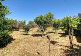 Unique Opportunity in the Picturesque Village of Hortinhas – Alandroal