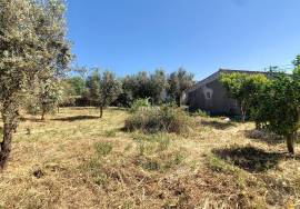 Unique Opportunity in the Picturesque Village of Hortinhas – Alandroal