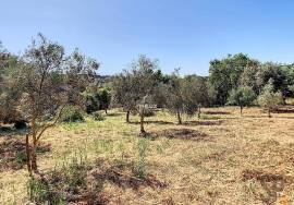 Unique Opportunity in the Picturesque Village of Hortinhas – Alandroal