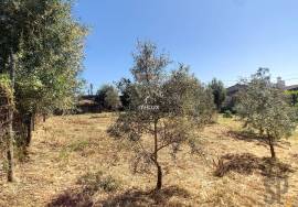 Unique Opportunity in the Picturesque Village of Hortinhas – Alandroal