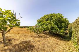 3 bedroom village house on a land of 8250 sq.m for sale, in Bordeira - Aljezur