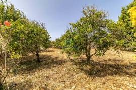 3 bedroom village house on a land of 8250 sq.m for sale, in Bordeira - Aljezur