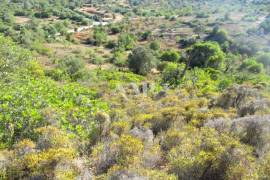 Rustic Land in Vale Judeu