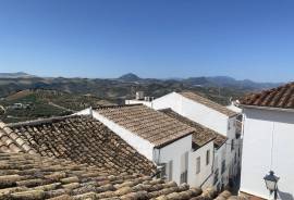 Casa Pintora Preciosa Townhouse