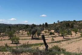 Excellent Plot of land for sale in Fabara Zaragoza Aragon