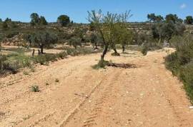 Excellent Plot of land for sale in Fabara Zaragoza Aragon