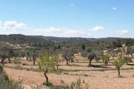 Excellent Plot of land for sale in Fabara Zaragoza Aragon