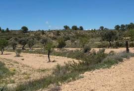 Excellent Plot of land for sale in Fabara Zaragoza Aragon