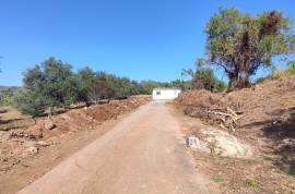 Land in Querença with House to Legalize - Unique Opportunity!