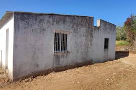 Land in Querença with House to Legalize - Unique Opportunity!