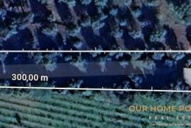 Land in Querença with House to Legalize - Unique Opportunity!