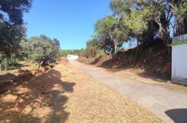 Land in Querença with House to Legalize - Unique Opportunity!