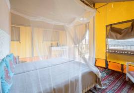 Tavira – Peaceful quinta with infinity pool, orchard and tourism potential close to the coast.