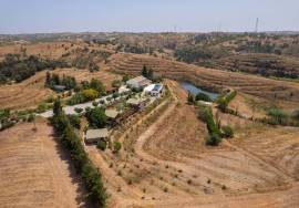 Tavira – Peaceful quinta with infinity pool, orchard and tourism potential close to the coast.