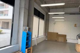 Commercial property Vizcaya