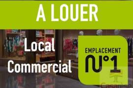 Loue local commercial pour profession médicales VERNAISON